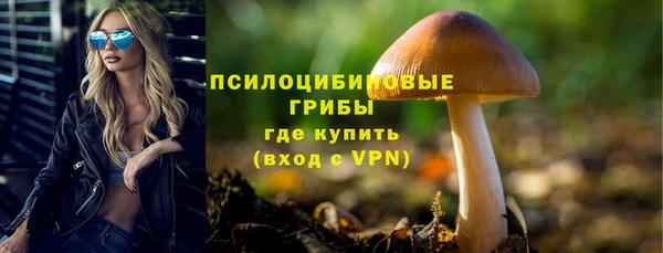 ешки Липки