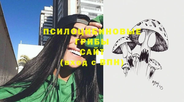 меф Медвежьегорск